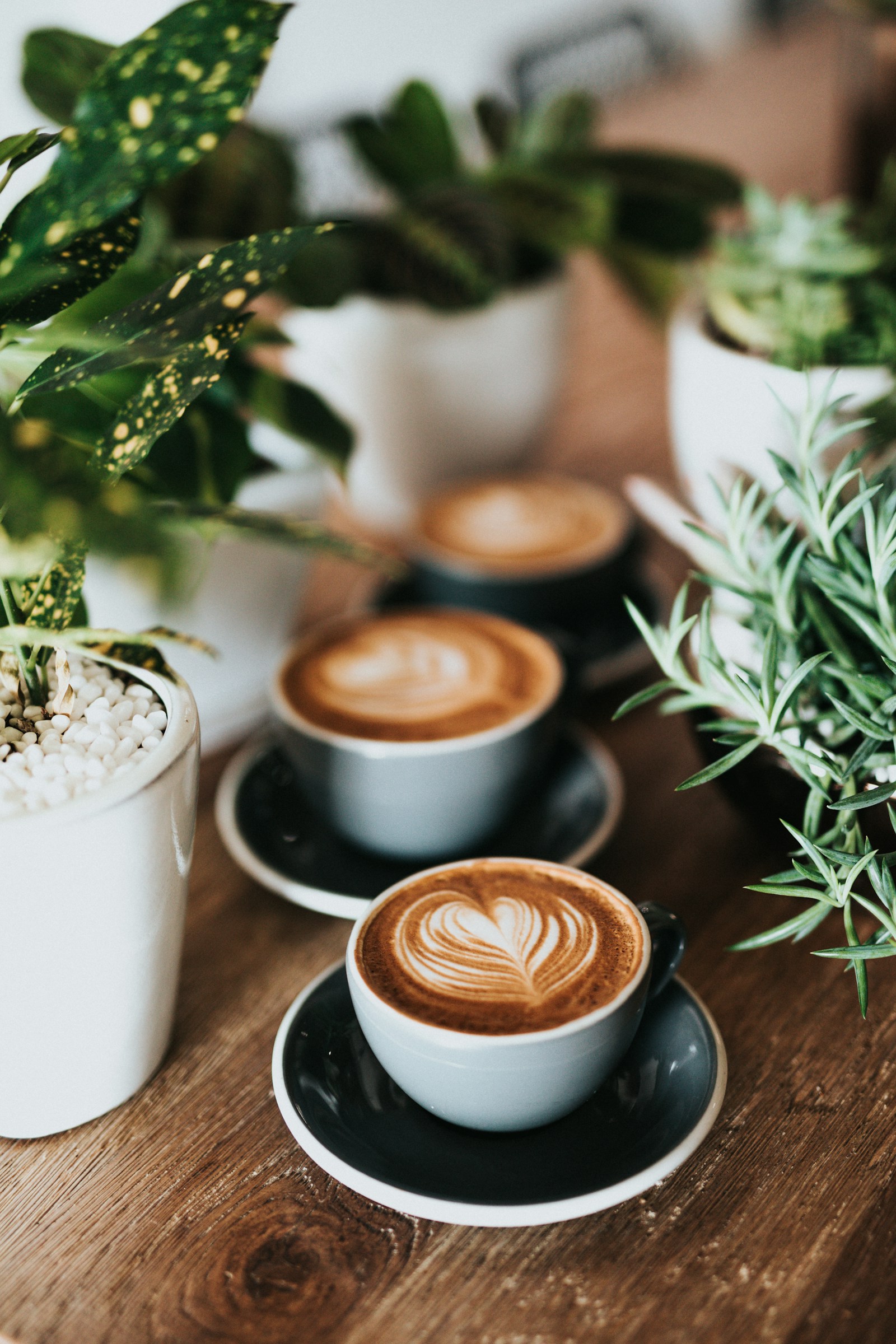 Professional coffee bar with cups and espresso service